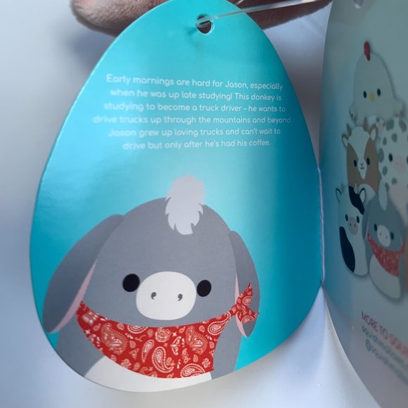 Squishmallows Jason the Donkey 5" - Picture 3 of 4